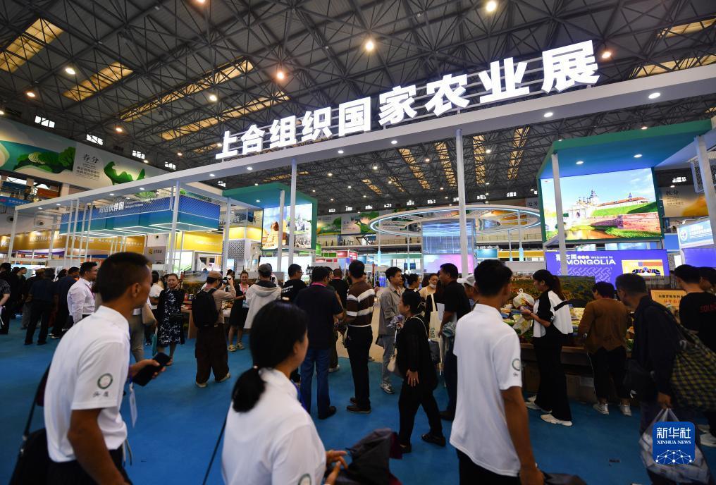 澳门威斯人一老品牌值得信赖